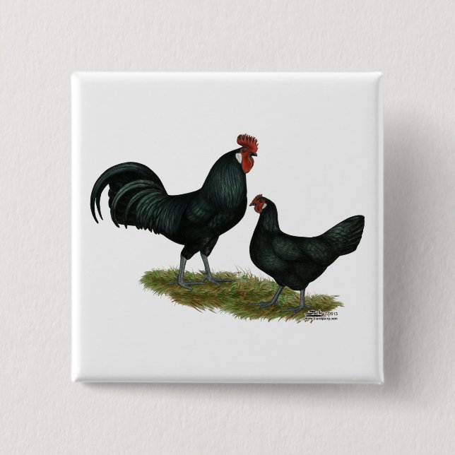 Augsburger Chickens Button (Vorderseite)