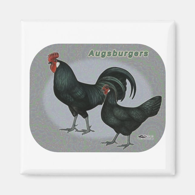 Augsburger Fowl Magnet (Vorne)