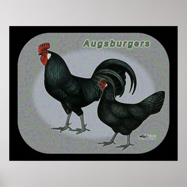 Augsburger Fowl Poster (Vorne)