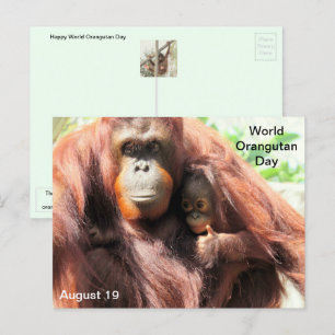 August 19 - Welt-Orangutan-Tag Postkarte