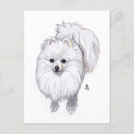 August 2019 Spitz Postkarte