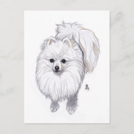 August 2019 Spitz Postkarte