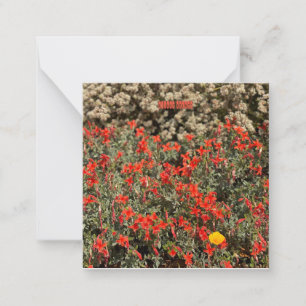 August Ablaze Mitteilungskarte