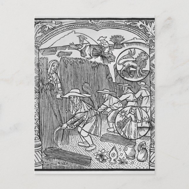 August, Ernte, Leo Postkarte (Vorderseite)