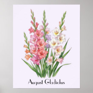 August Gladiolus Blumen Poster
