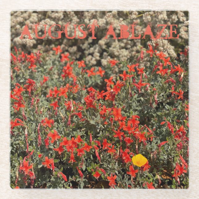 August Glasuntersetzer (Vorderseite)