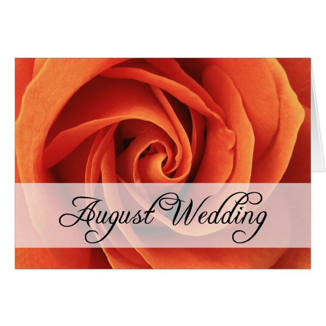 August Hochzeit : Rose der Saison: (Vorderseite (Horizontal))