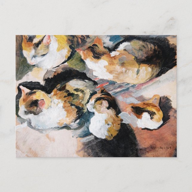 August Macke's Katzenstudien (Studie einer Katze) Postkarte (Vorderseite)