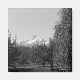 August Mt Hood Magnet