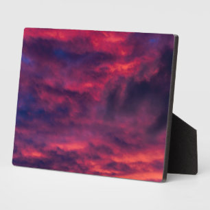 August rot fotoplatte