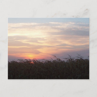 August Sunrise Postkarte