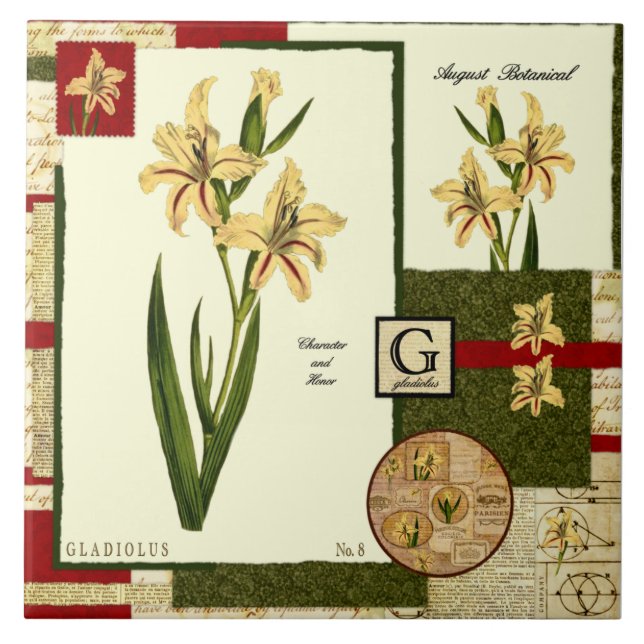 Augustblume Fliese (Vorderseite)