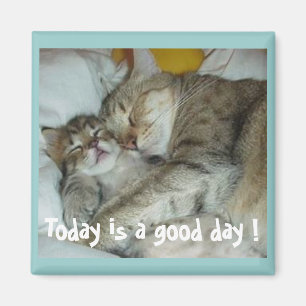 Aujourd'hui est une bonne journée ! Magnet de chat
