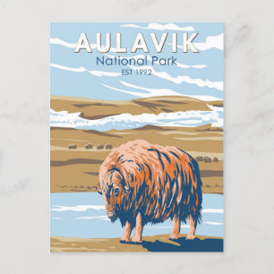 Aulavik Nationalpark Kanada Moschusochse Vintage Postkarte