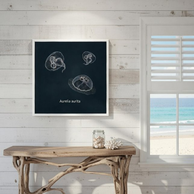 Aurelia aurita Educational Poster (Von Creator hochgeladen)