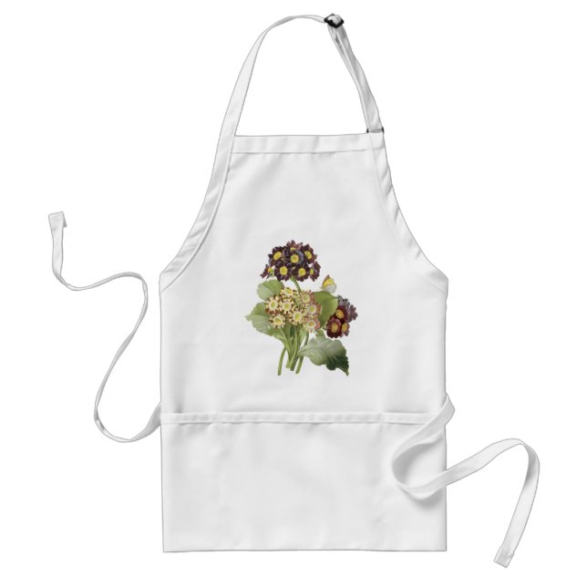 auricula(Primula auricula) by Redouté Schürze (Vorne)