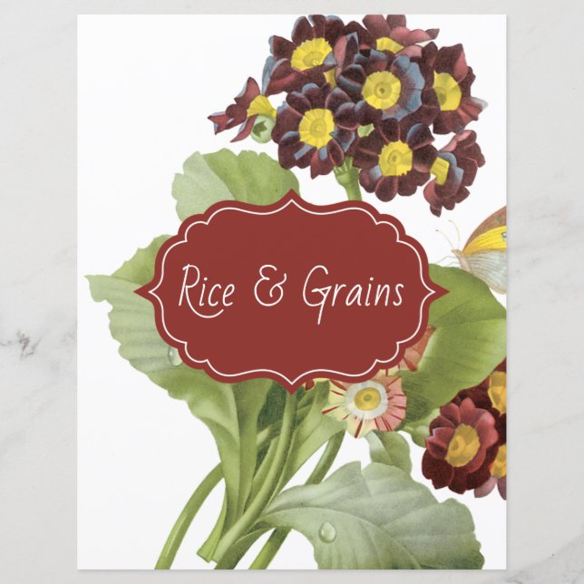 Auricula-Rezeptorenscheider (Vorderseite)