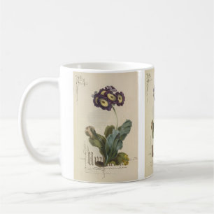 Auricula von Paul Jerrard Kaffeetasse