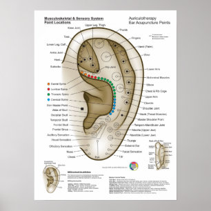 Aurikulotherapie-Ohr-Akupunktur Poster