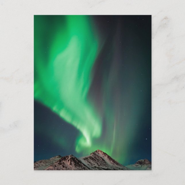 Aurora Borealis | Ankerplatz, Alaska Postkarte (Vorderseite)