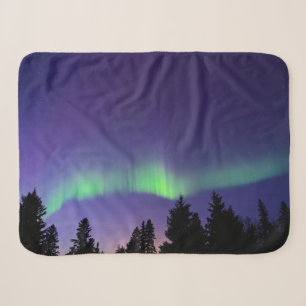 Aurora Borealis & Bäume   Manitoba, Kanada Sherpadecke