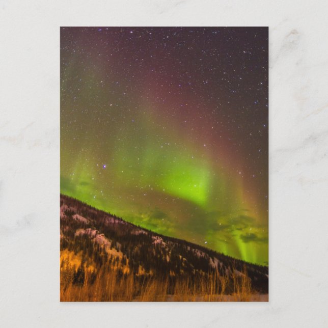 Aurora Borealis | Berge Fairbanks Alaska Postkarte (Vorderseite)