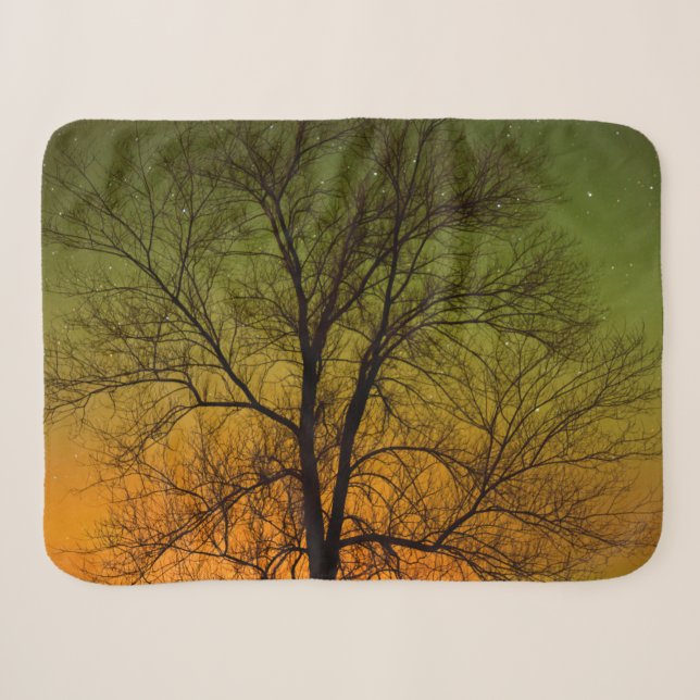 Aurora Borealis & Cottonwood Tree Sherpadecke (Vorderseite (Horizontal))