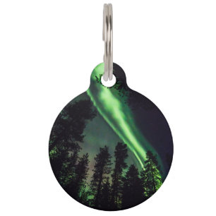 Aurora borealis in finnischem Lappland Tiermarke