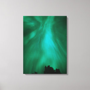 Aurora Borealis Nacht   Ontario, Kanada Leinwanddruck