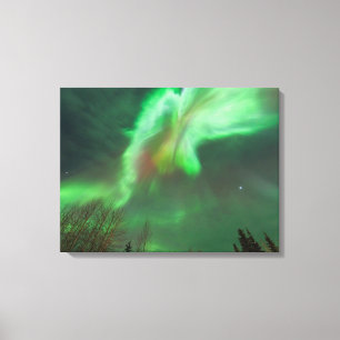 Aurora Borealis Nordlicht   Fairbanks Leinwanddruck