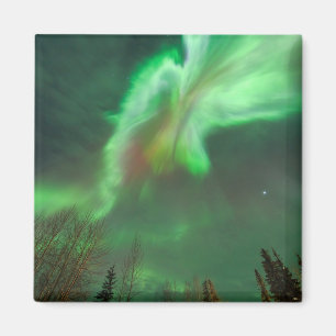 Aurora Borealis Nordlicht Fairbanks Magnet