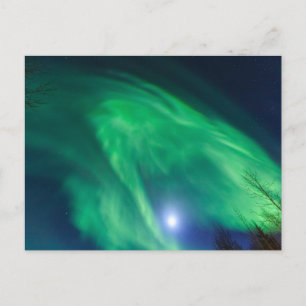 Aurora Borealis Nordlicht   Fairbanks Postkarte
