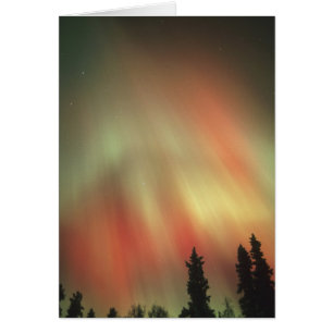 Aurora Borealis, Northern Lights, Fairbanks