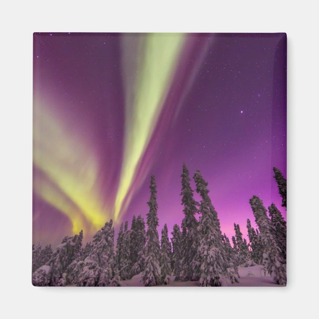 Aurora Borealis Northern Lights Fairbanks Alaska Magnet (Vorne)