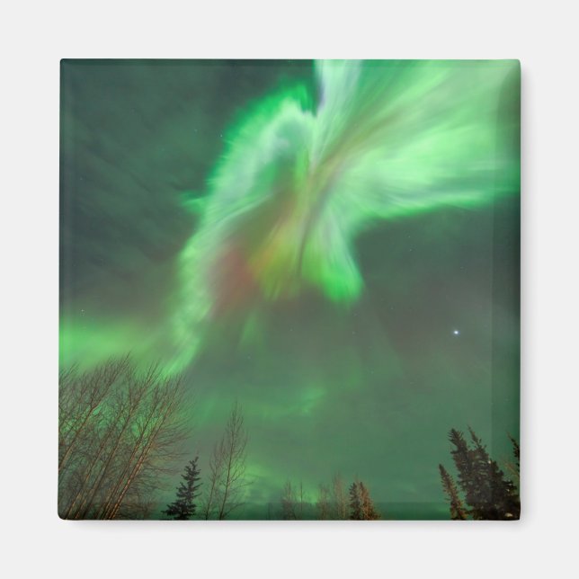 Aurora Borealis Northern Lights | Fairbanks Magnet (Vorne)