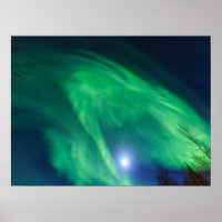Aurora Borealis Northern Lights | Fairbanks