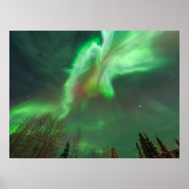 Aurora Borealis Northern Lights | Fairbanks Poster (Vorne)