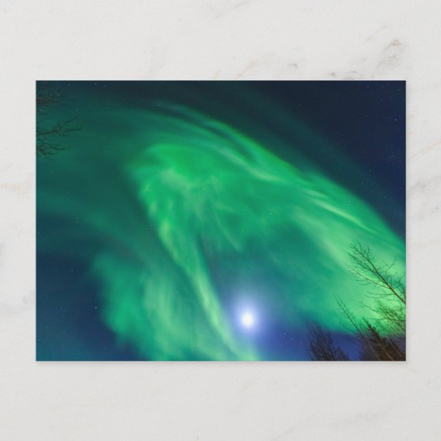 Aurora Borealis Northern Lights | Fairbanks Postkarte (Vorderseite)