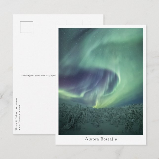 Aurora Borealis Norwegen Postkarte (Vorne/Hinten)