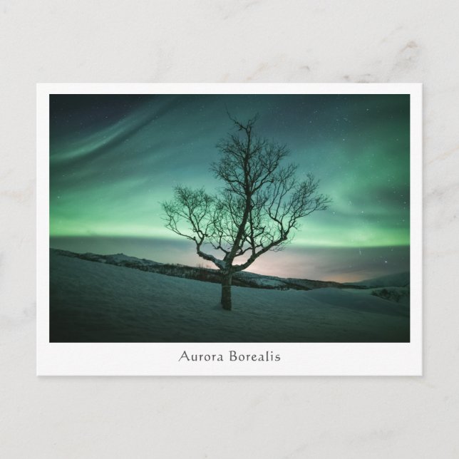 Aurora Borealis Postkarte (Vorderseite)