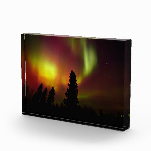 Aurora Borealis und Bäume Fotoblock