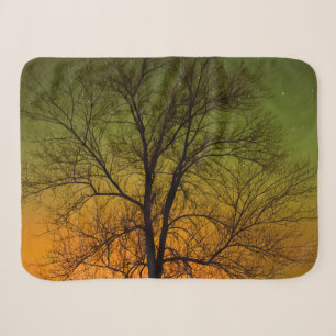 Aurora Borealis und Baumwollbaum Sherpadecke