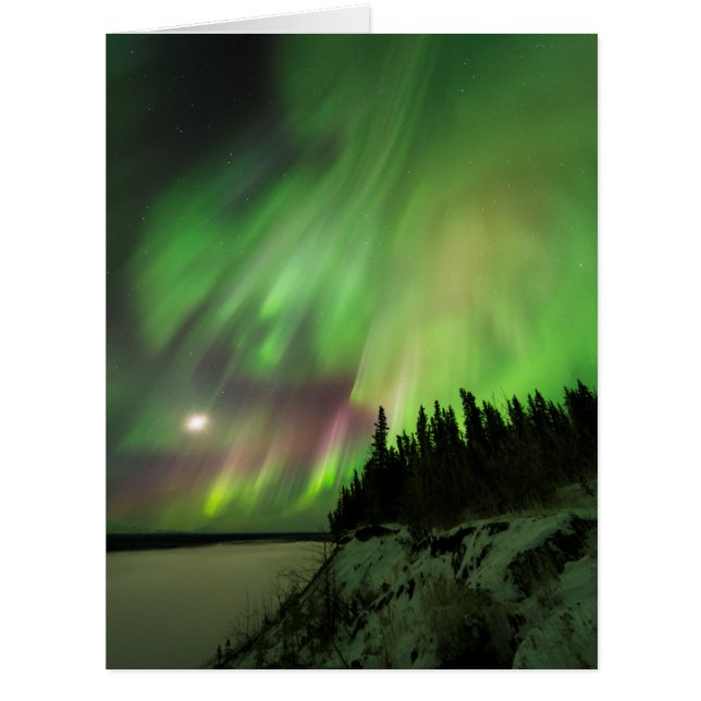 Aurora explosif (Devant)