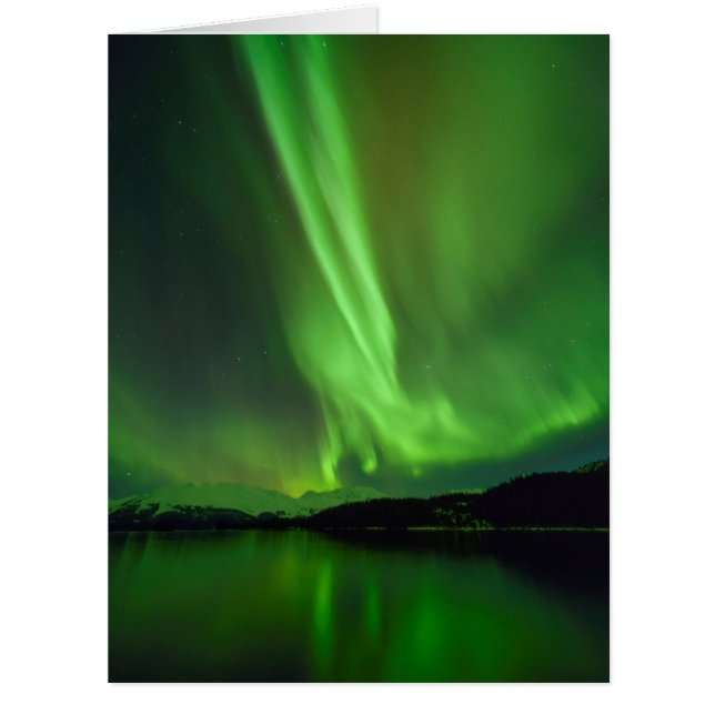 Aurora intemporelle (Devant)