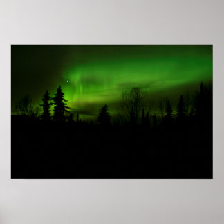 Aurora over Denali print Poster