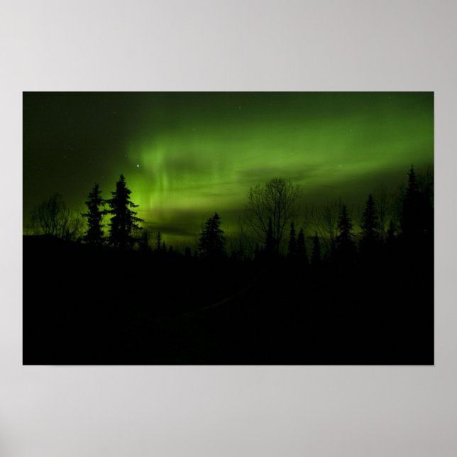 Aurora over Denali print Poster (Vorne)
