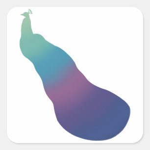 Aurora Peacock Gradient Sticker