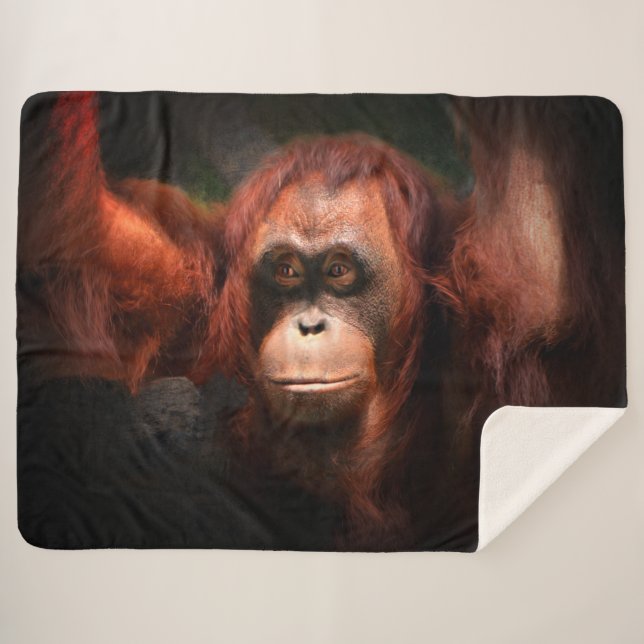 Aurora Sherpadecke (Vorderseite (Horizontal))