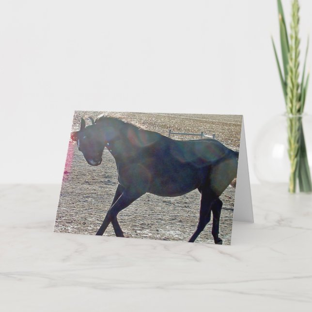 Aus anzeigen karte (Vorderseite)