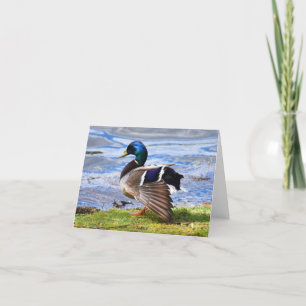 Aus anzeigen (Mallard #1) - leere Notizkarte Dankeskarte